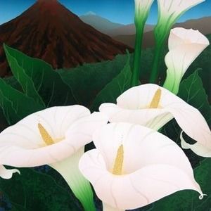 Meet your Posher, Ansel